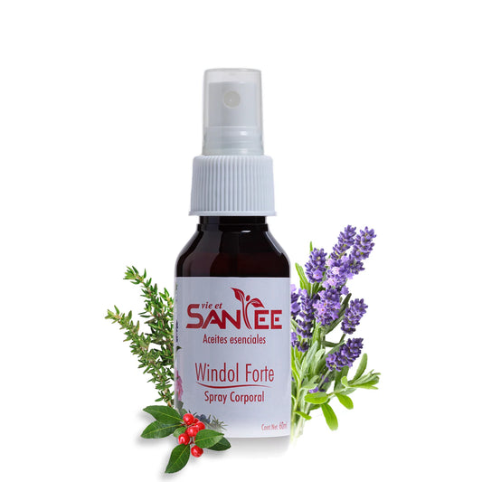 Aerosol WinDol Forte